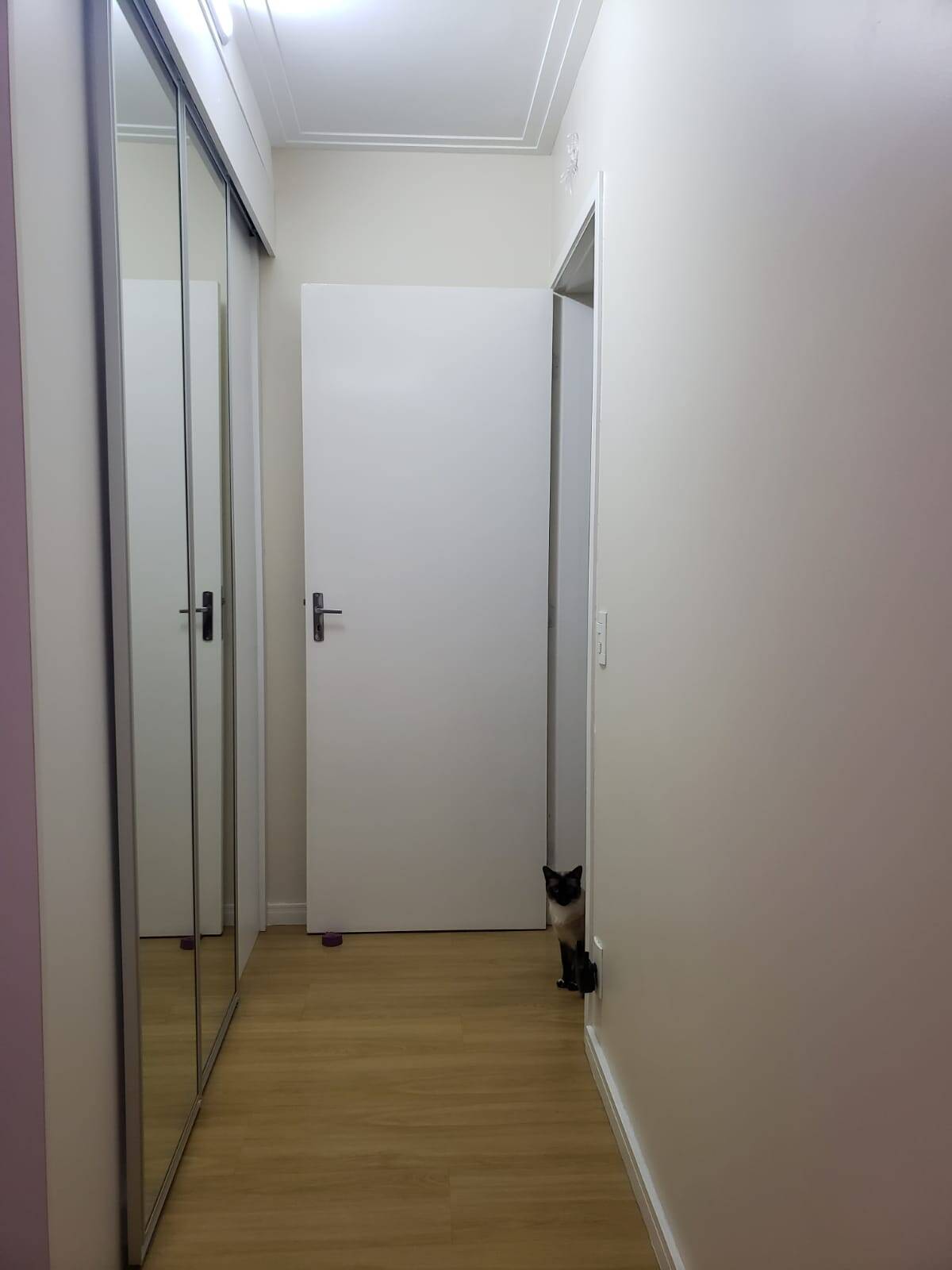 Apartamento à venda com 2 quartos, 60m² - Foto 14