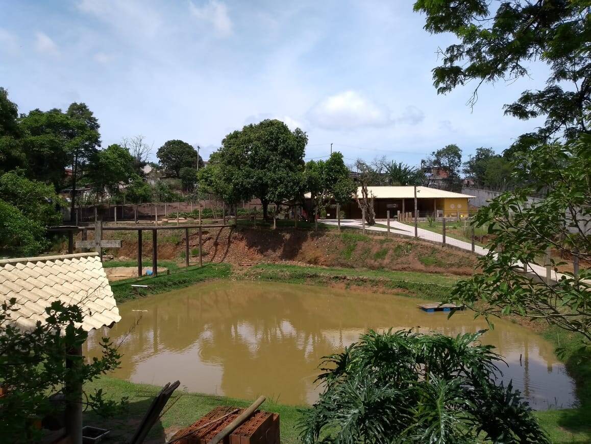 Fazenda à venda com 3 quartos, 7000m² - Foto 5