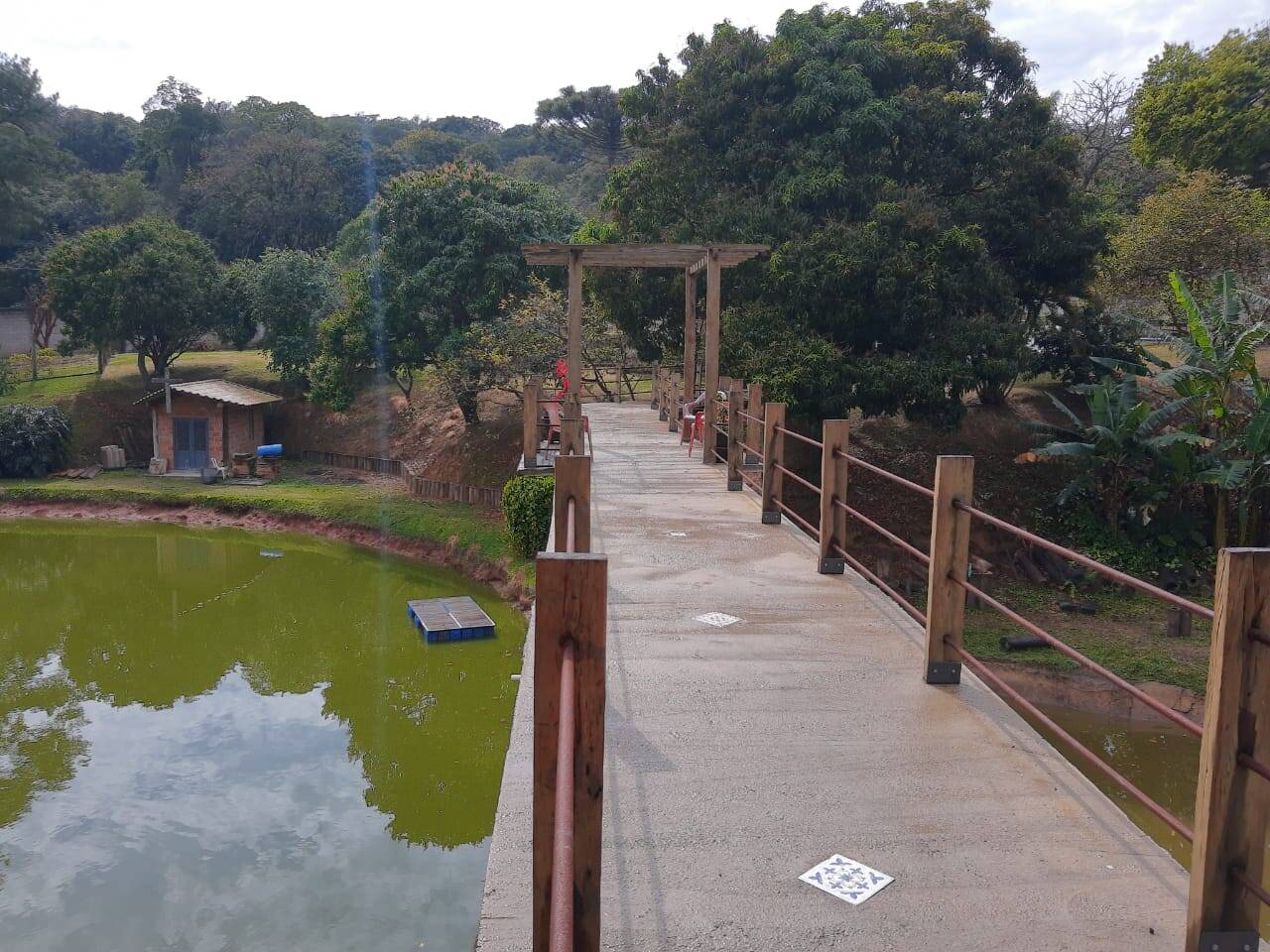 Fazenda à venda com 3 quartos, 7000m² - Foto 6