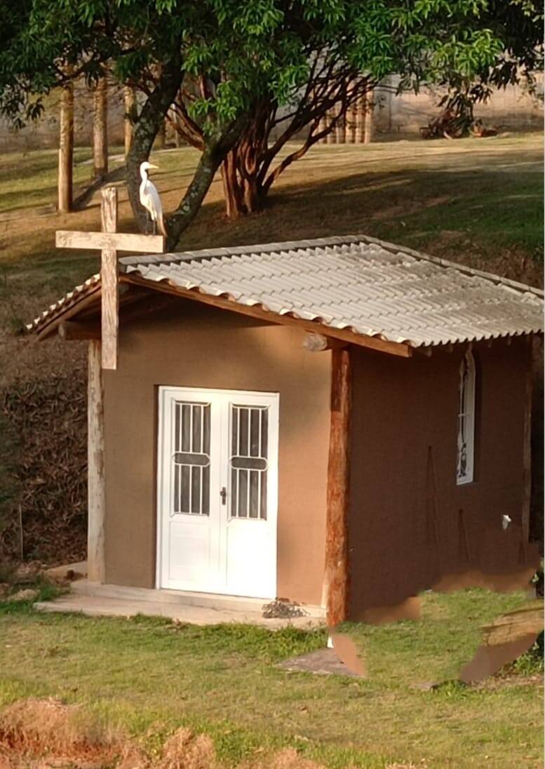 Fazenda à venda com 3 quartos, 7000m² - Foto 14