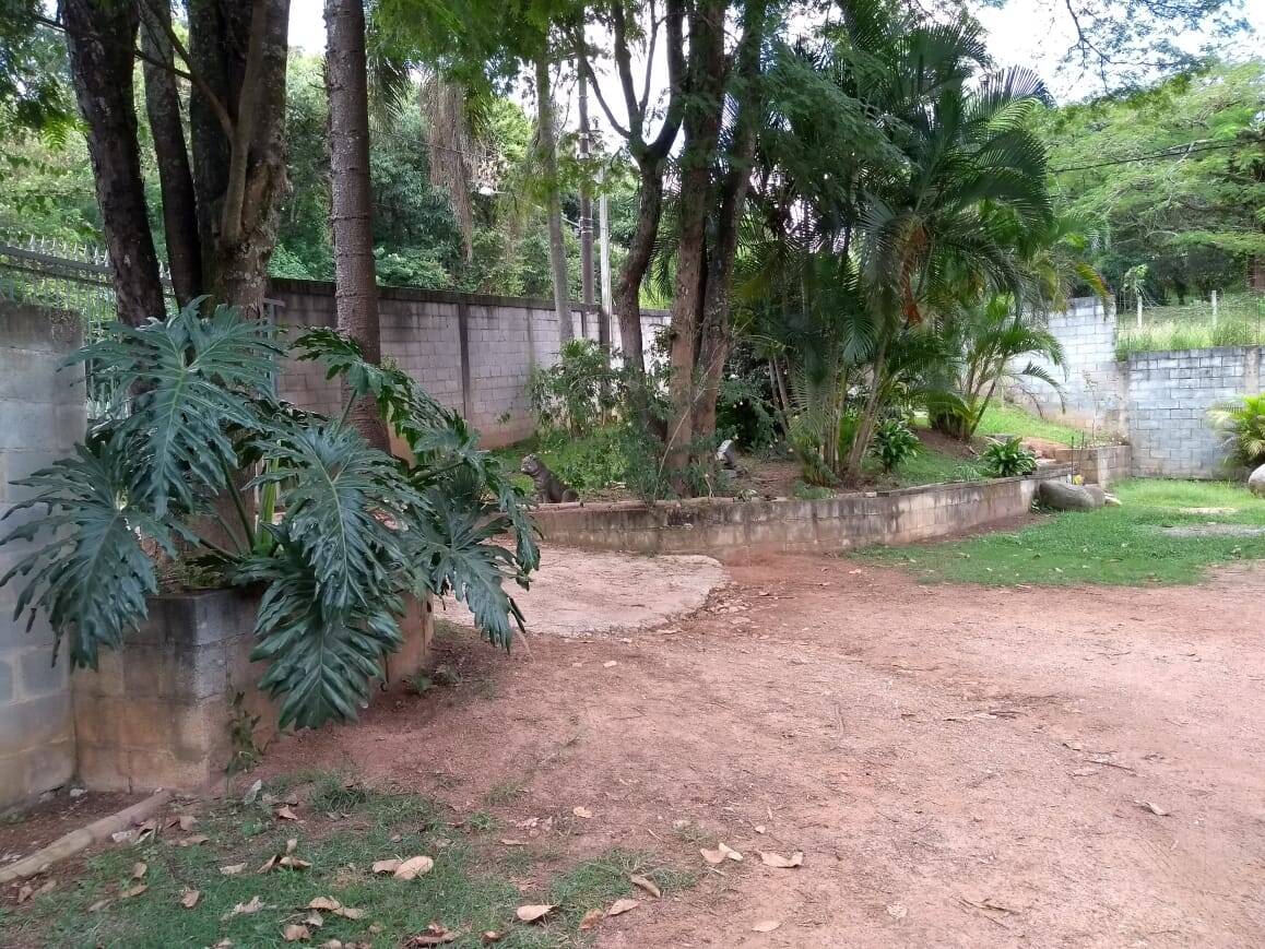 Fazenda à venda com 3 quartos, 7000m² - Foto 38