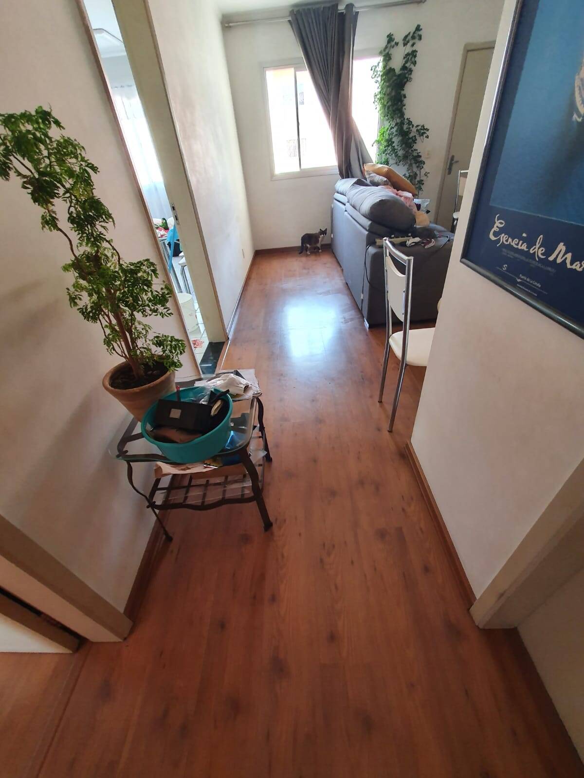 Apartamento à venda, 60m² - Foto 6