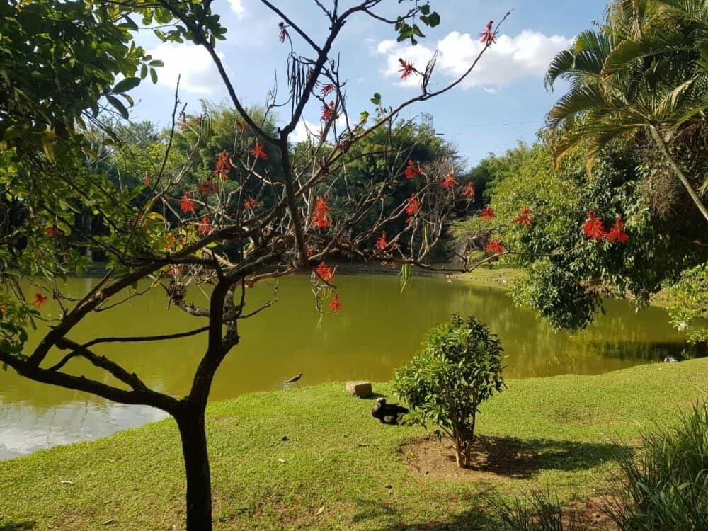 Casa de Condomínio para alugar com 3 quartos, 200m² - Foto 17